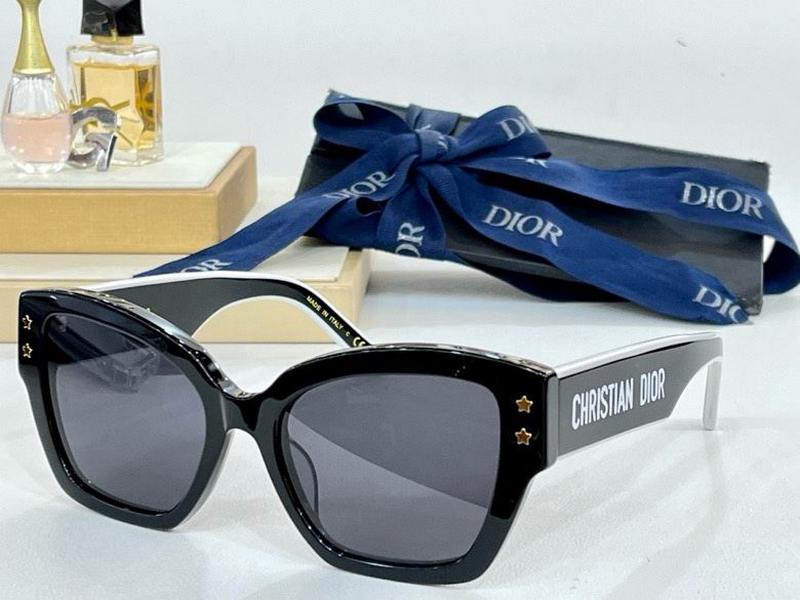 DIOR Sunglasses 293